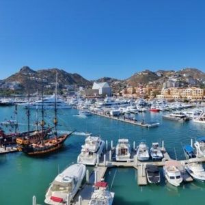 Meet your Posher, Coua